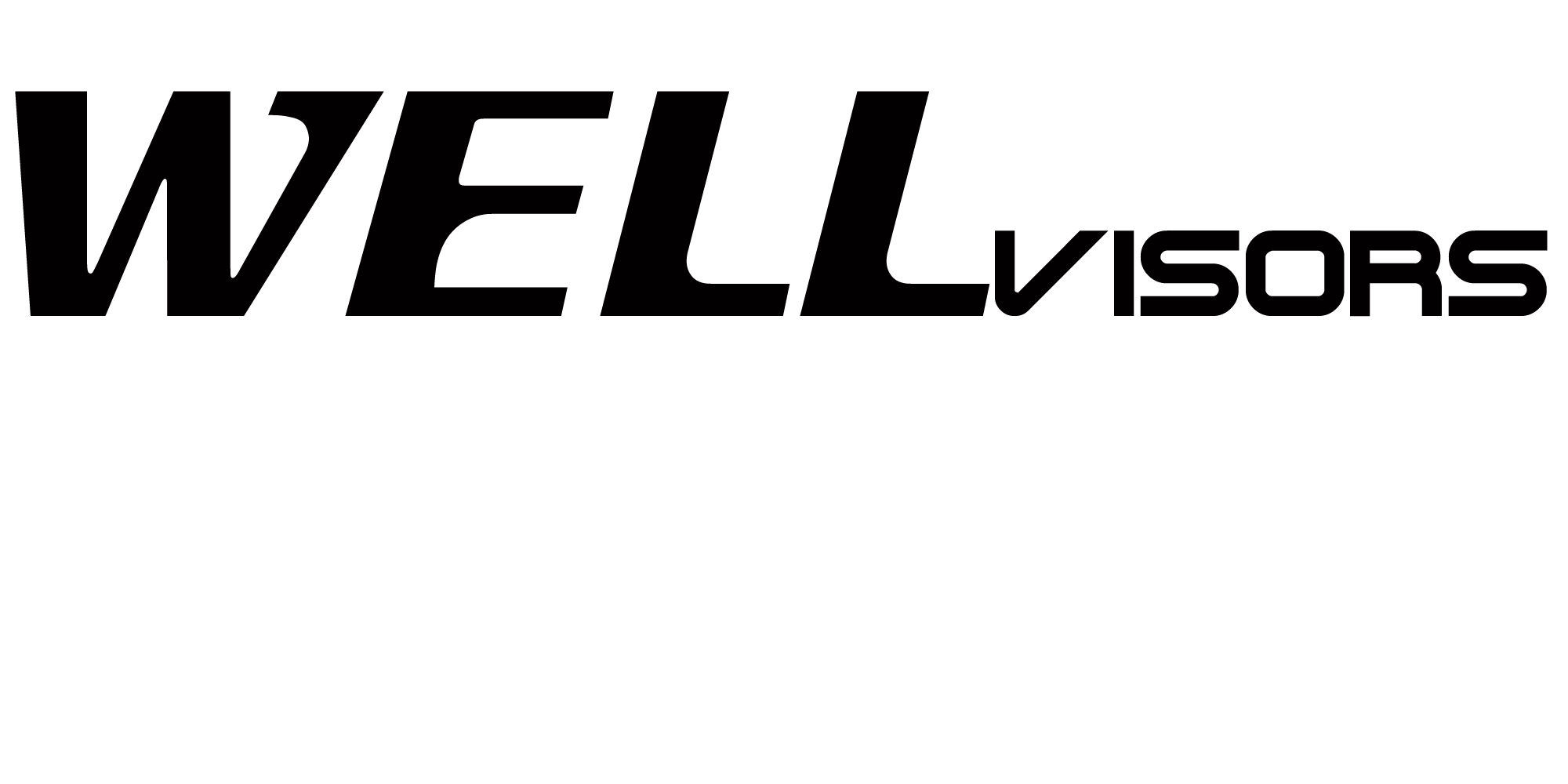 wellvisors logo